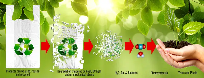 Biodegradable Film 